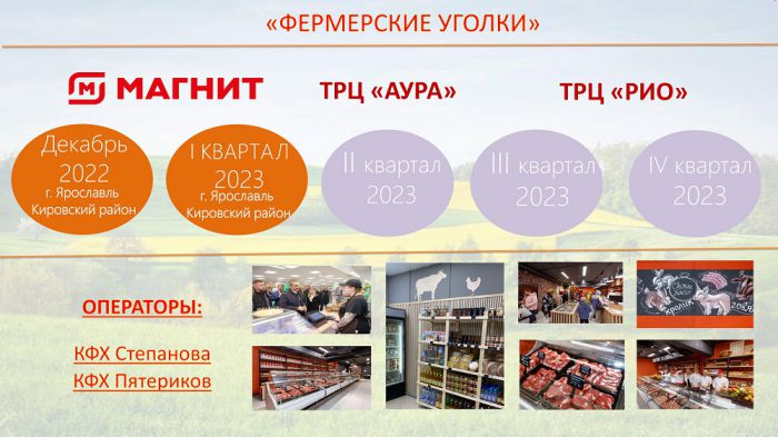 Реализация проекта по продвижению продукции Ярославских товаропроизводителей